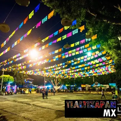 Carnaval de Tlaltizapán 2019 - Parte 1